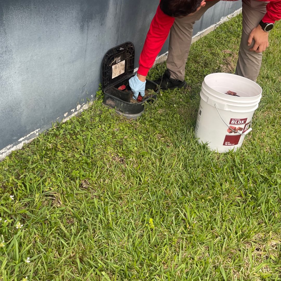 27A13B26-E1D1-496E-ADC1-267577258E83-rc6t0bboob8hc6lp6nai7d09pnf1zrnbj6yq4xzf3k