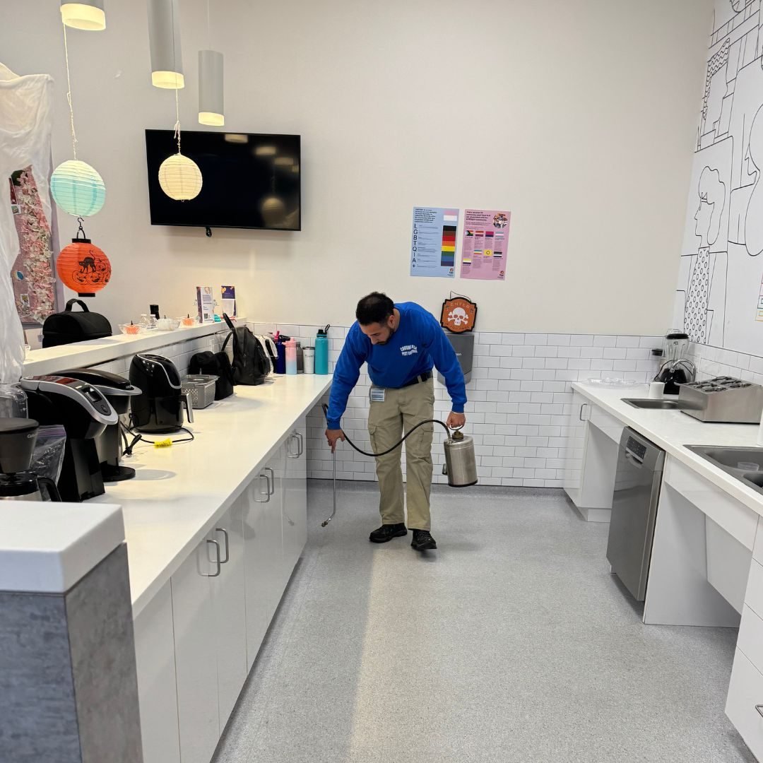 Diseno-sin-titulo-98-rc6uir56hvrbr5iyaofn44gca13csoro0n63qv9kq8