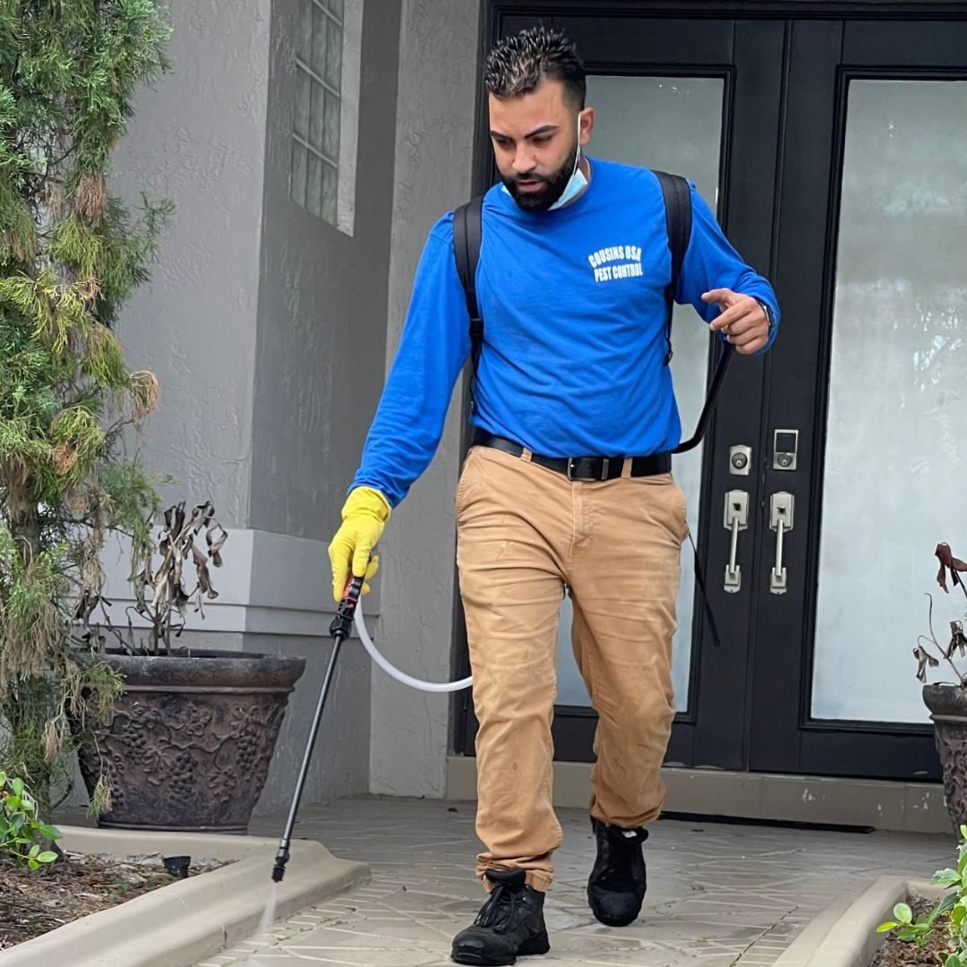 Diseno-sin-titulo-99-rc6ule2vo5dabrp1wbgylyhw9y3fe48k1p257tct9s