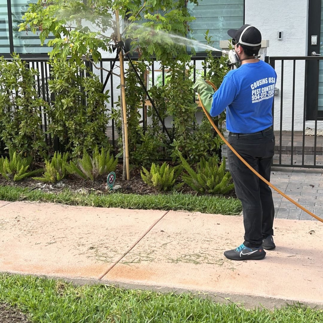 IMG_0489-scaled-rc6ud28d3zytg5slj7uz0k5us15c6o66kgy94jpeeo